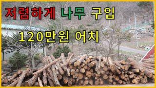 저렴하게 나무 구입 120만원 어치 나무 하차