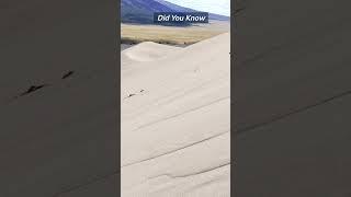 Great Sand Dunes National Park. #shorts #sanddunes, #nationalparks, #colorado