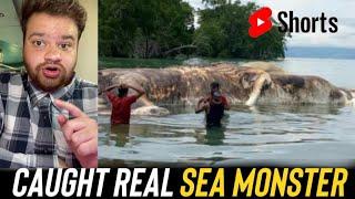 Sea Monster Caught (Real Video) #shorts #ashortaday