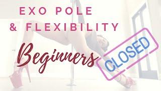 ***CLOSED!!*** ONLINE VIDEO COURSE!  Pole & Flexibility: Novice-Beginner-Intermediate. SIGN UP!