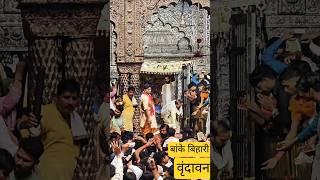 वृंदावन के बांके बिहारी | Vrindavan ke Shree Banke Bihari  #vrindavan #bankebihari #temple