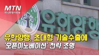 유한양행, 초대형 기술수출에 '오픈이노베이션' 전략 조명 / 머니투데이방송 (뉴스)