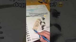 Look!️ #artistsofyoutube #dogdrawing #dogsofyoutube #cute #coloredpencil #drawing #artoftheday