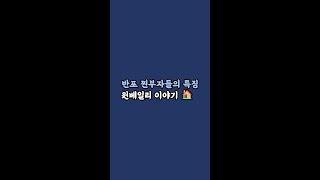  반포 부자들의 진짜 특징 6가지! 원베일리 이야기  #반포 #원베일리 #W찐부자 #찐부자특징 #반포부자 #자영업자이야기 #부자생활 #건강한부자 #자기관리