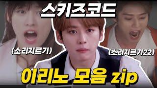 [스트레이키즈/리노]스키즈코드 이리노 킬포 모음