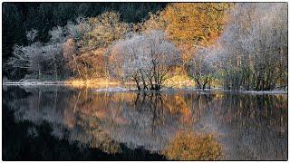 Beautiful light, mystery sounds and getting recognised!