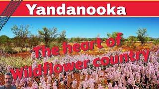 Yandanooka Hall : Free Caravan Western Australia safe wildflower camping  in the Mid west