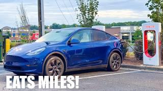 Cheapest New Model Y Is The Best! 2024 Model Y LR RWD (US Spec) 10% Road Trip Challenge