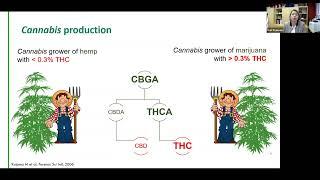 Medical Cannabis in Clinical Pharmacology - Featuring Dr. Kari Franson (2022)