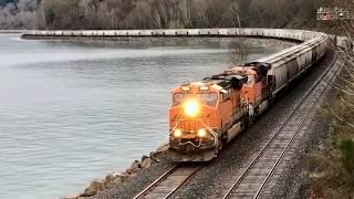 BNSF unit grain & double-stack trains at Carkeek Park #train #trainspotting #grain #intermodaltrain