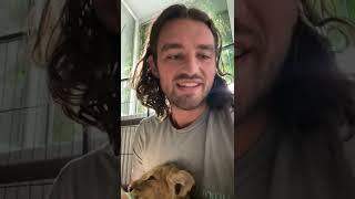 Heroic IFAW Veterinarian Saves  Lion Cubs from Warzone, Exotic Pet Trade. See How He Pulled It Off