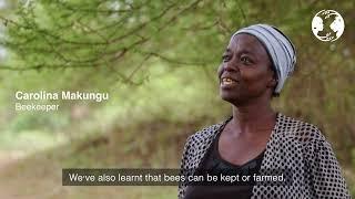 Voices of Mama Asali | The Women’s Beekeeping Initiative