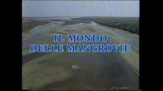 Il mondo delle mangrovie - 1983