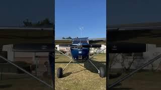 What a Beauty ️Cessna 170 taildragger  #shorts #taildragger