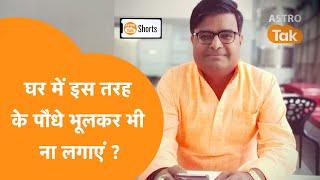 घर में भूलकर भी ना लगाएं इस तरह का पौधा | Shailendra Pandey | Astro Tak #Shorts