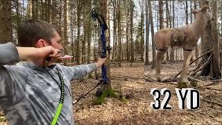 3D Archery Shoot 2022