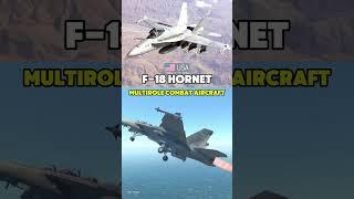 If F-18 Hornet was in War Thunder.........