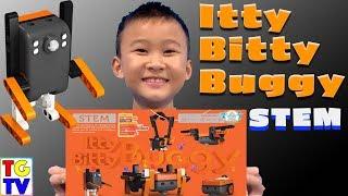 Itty Bitty Buggy Unboxing & Review