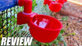 RentACoop Automatic Chicken Water Cup Waterer Kit for Poultry Review