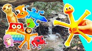 Learn Animal Names for Babies Kids at the Double Waterfall: Tiger Duck Reindeer Snake Rhino