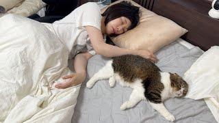 7年一緒に暮らした飼い主と猫の寝相が完全に一緒だったw w w