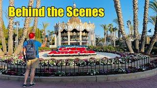 Behind the Scenes of Bay Area Attractions