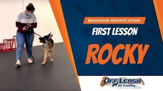 Off Leash K9 Training | Behavior Modification | First Lesson