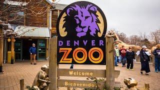 visitando el zoológico de Denver Colorado 2023