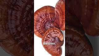 Unlocking the Power of Reishi Mushrooms: Nature's Liver Support!