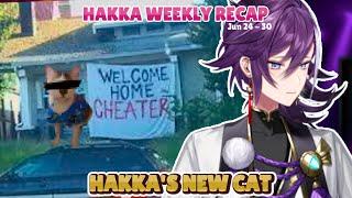 Hakka's New Cat -  Hakka Weekly Recap 2024 [26]