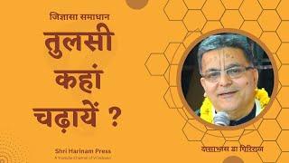 क्या राधारानी के चरण मे तुलसी दे सकते हैं ?? #shriharinampress #jigyasa #tulsi #radharani #vrindavan