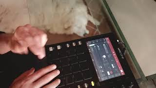 Akai Mpc One, Lofi Hiphop Beat finger drumming, BeatHume feat.Ettore