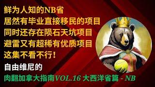 NB省居然有毕业直接移民的项目？不再是BC省硕博类专利｜同时也要避开一个天坑项目｜看了绝对有收获的一集｜【肉翻加拿大指南Vol.16】- NB篇