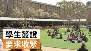 聯邦政府收緊澳洲學生簽證申請要求 | SBS中文