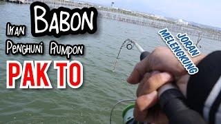 Mancing Rumpon Pak To Marina Semarang