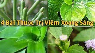 4 Bài Thuốc Trị Viêm Xoang Sàng rất hay. PHAN HẢI channel