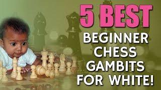 5 Best  Beginner Chess Gambits for White with FM  Fell