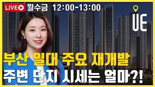 부산 재개발 사업 활발!! 주변 단지 시세는 얼마인가?! [12시 김예림변호사 라이브]