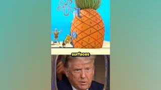 Trump and Biden Teach Friction in Bikini Bottom