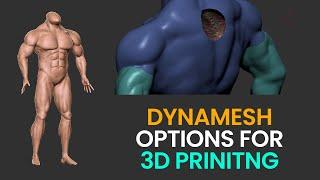 DynaMesh Options and Thickness settings for Flawless 3D Printing in ZBrush