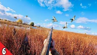 DUCK HUNTING Over a Small Spread (LIMITED) | DECOYING Ducks Close