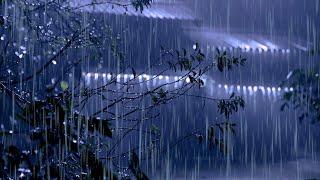 Fall Asleep Fast with Thunderstorm Sounds  Strong Rainstorm & Intense Thunder on Tin Roof at Night