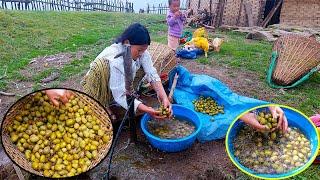 Manjita Jina & Jonson Picking up KIWI wild fruit II Pastors life in Nepal