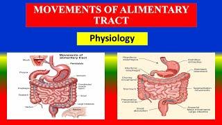 MOVEMENTS OF ALIMENTARY TRACT - digestive system - Applied Physiology for Nursing