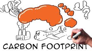 What is a CARBON FOOTPRINT? How to calculate and reduce it? | Climate change