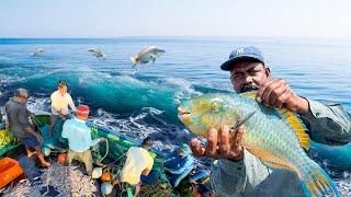 Amazing  Final Day Fishing In Very Bad Weather | Caught Lot Of Variety Fishes,Ayilai Fish Curry