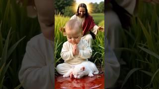 Unlucky baby abandoned by mother in rice field lucky kitten and Jesus take care of him #jesus p2