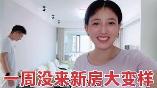 老公一星期没去新房，一开门大变样，连忙夸媳妇真能干除醛有妙招