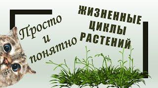 Жизненные циклы растений