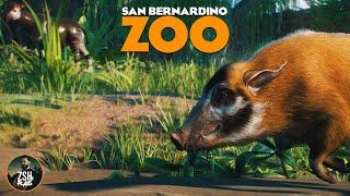 Building an African Mixed Habitat in Franchise Mode! | San Bernardino Zoo | Planet Zoo